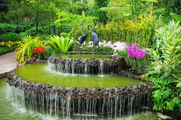 حديقه الزهور في بالي -حديقة بالي للاوركيده